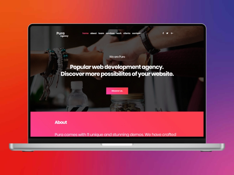 Pura Agency, web development agency